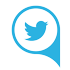 social_icon_twit